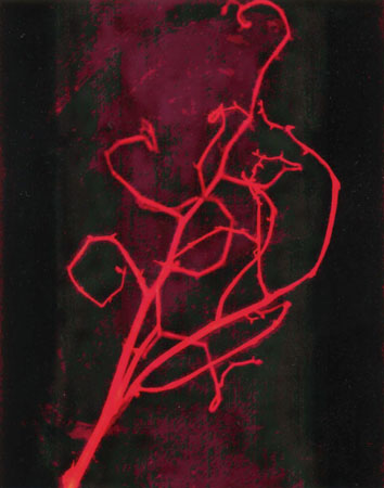 Last Year_ 11"x14"
