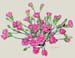 Carnations_11"x14"